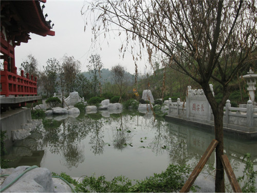 ����鿴����