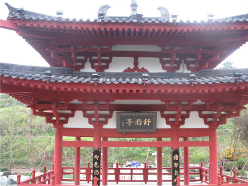 ����鿴����