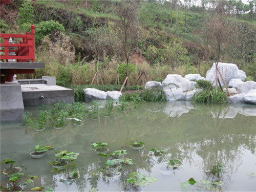 ����鿴����